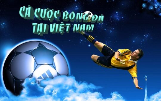 cá độ bóng đá tại Việt Nam