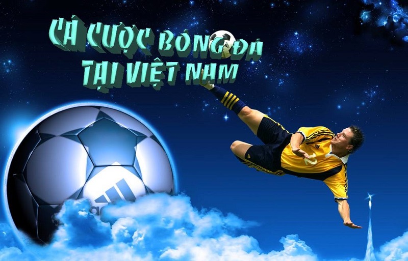 cá độ bóng đá tại Việt Nam